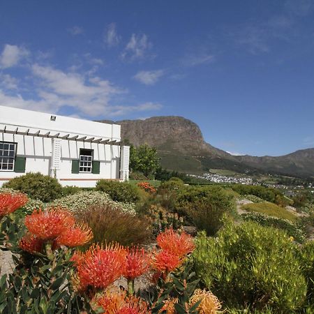 L'Amitie Estate Villa Franschhoek Exterior foto