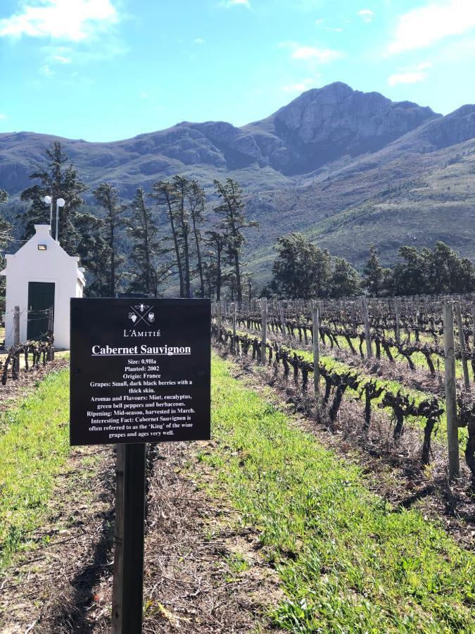L'Amitie Estate Villa Franschhoek Exterior foto
