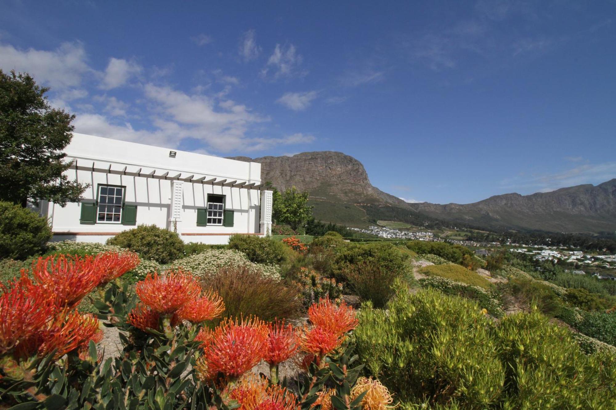 L'Amitie Estate Villa Franschhoek Exterior foto